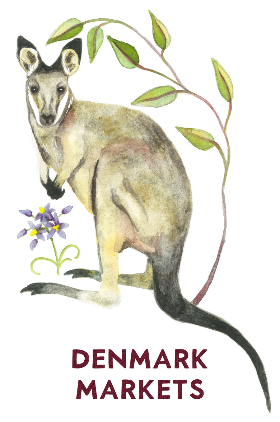 Image of a Kwoora or western Swamp Wallaby